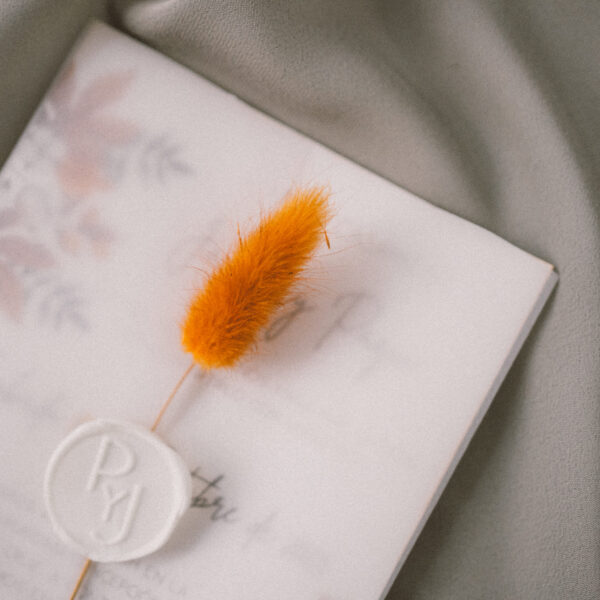 Orange - Imagen 2