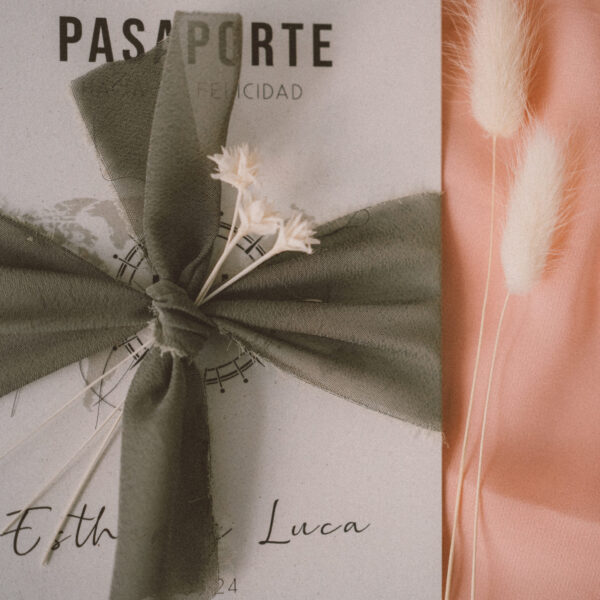 Passenger - Imagen 3