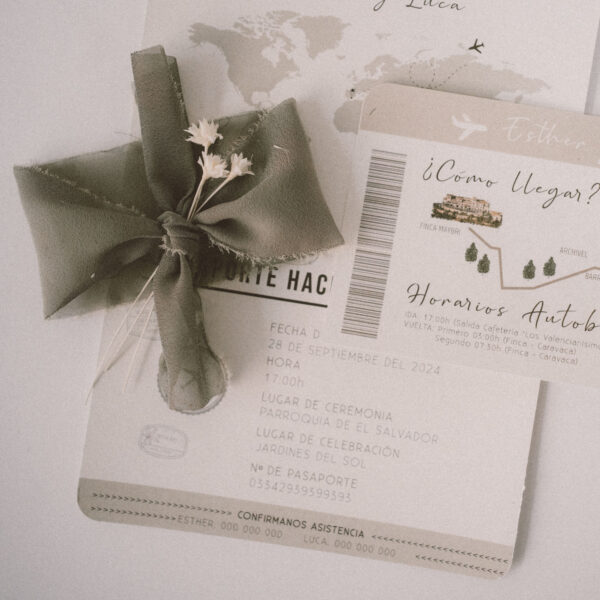 Passenger - Imagen 6